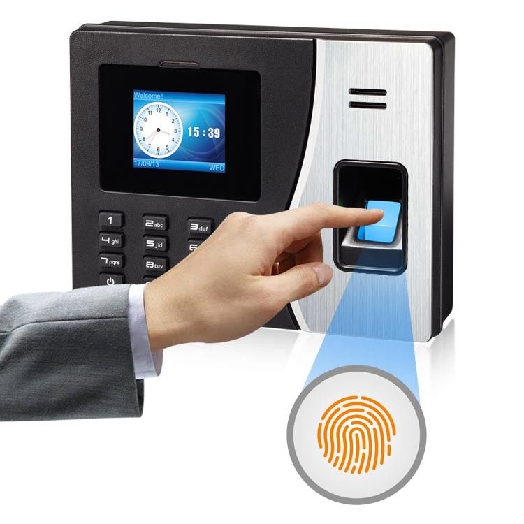 Angestellt-biometrische Zeit-Anwesenheit SDK TIMMY Cloud Software Fingerprint Access-Steuergprs