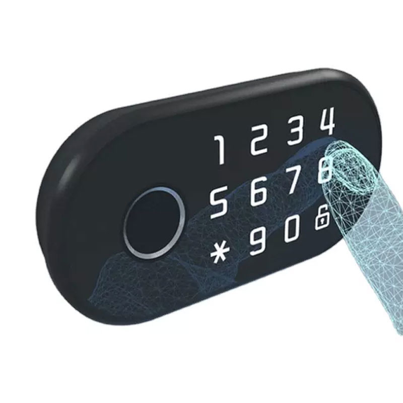 Elektrisches Karten-Passwort-biometrischer Fingerabdruck Tuya intelligentes Verschluss-RFID für Kabinett-Fach
