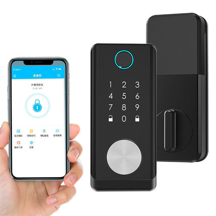Biometrischer Fingerabdruck-Türschloss-kapazitiver Sensor-Smart Keyless BLE APP-Verschluss