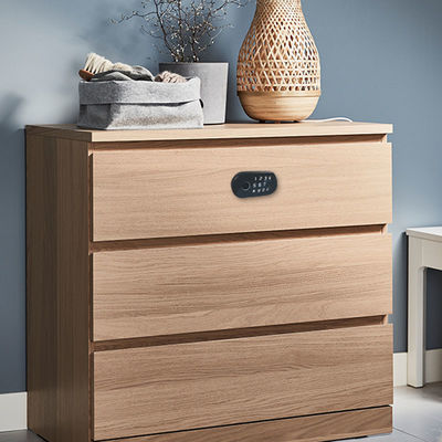 Elektrisches Karten-Passwort-biometrischer Fingerabdruck Tuya intelligentes Verschluss-RFID für Kabinett-Fach