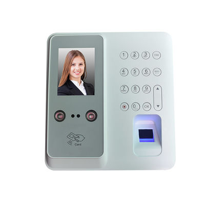 Anwesenheits-Maschine der Gesichtserkennungs-TMF610