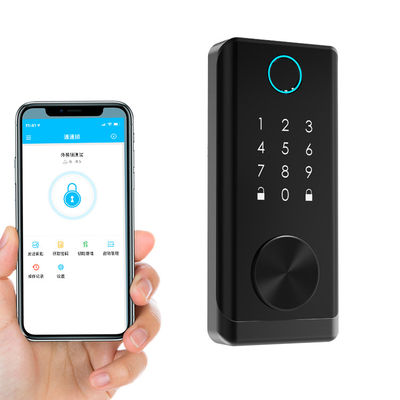 Biometrischer Fingerabdruck-Türschloss-kapazitiver Sensor-Smart Keyless BLE APP-Verschluss